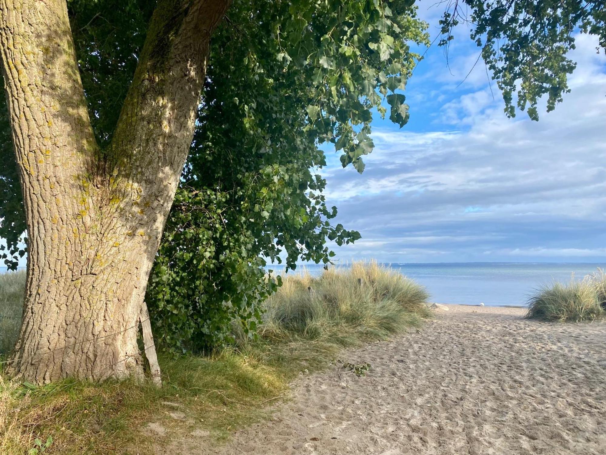 Feriendorf Suedstrand Haus 35 Pelzerhaken Exteriér fotografie
